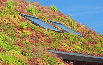 Haughley living roof systems