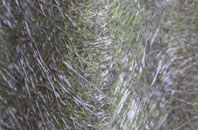 Haughley fibreglass roof work